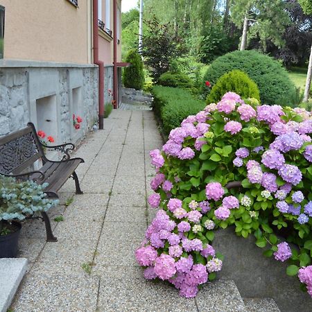 Penzion Ostravanka Hranice  Exteriör bild